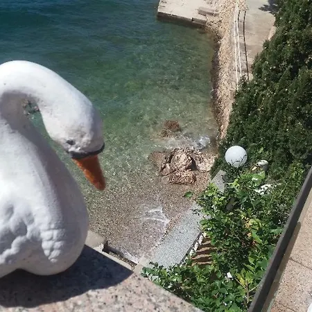 Appartement Nives *