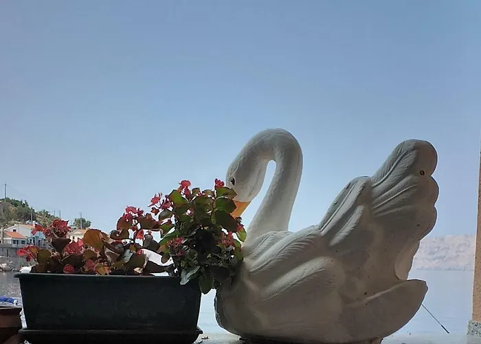 Nives Starigrad (Kvarner)