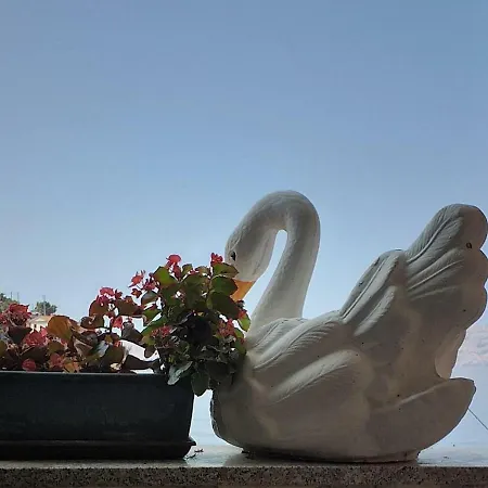 Nives 스타리그라드