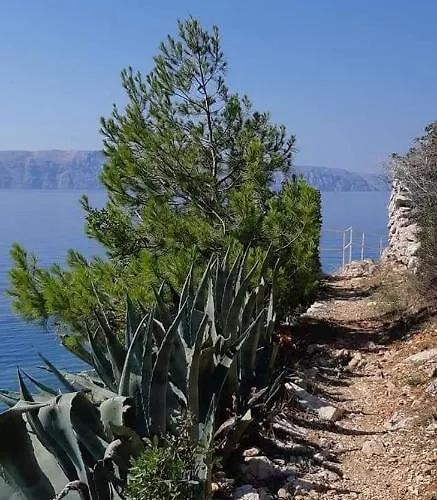 Апартаменты Nives